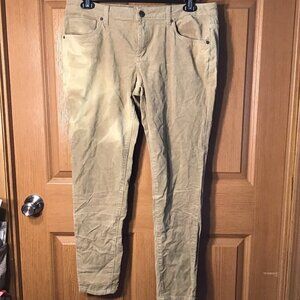 Hybrid & Co Cordorouys